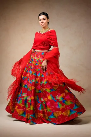 Hand embroidred lehenga with drape blouse and feather dupatta