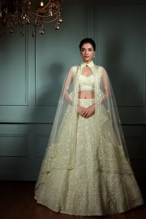 Mint Lehenga with Mirror Embellishments.