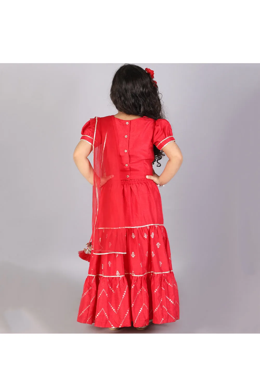 Red Flower Embroidered Top With Lehenga Set