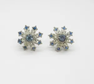 Vintage Lacy Blue and White Screw Back Earrings