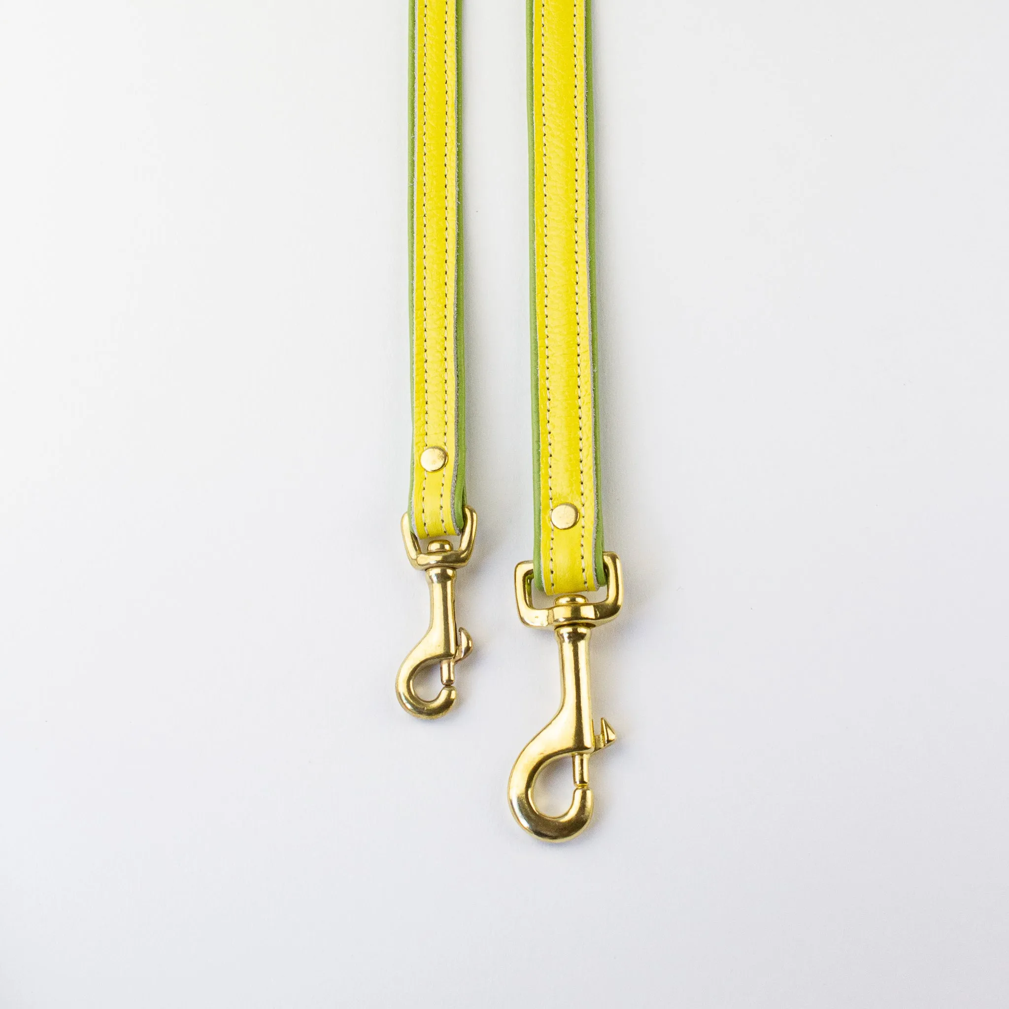 Willow Walks double sided soft leather lead in yellow and light green